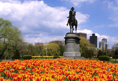 boston-common